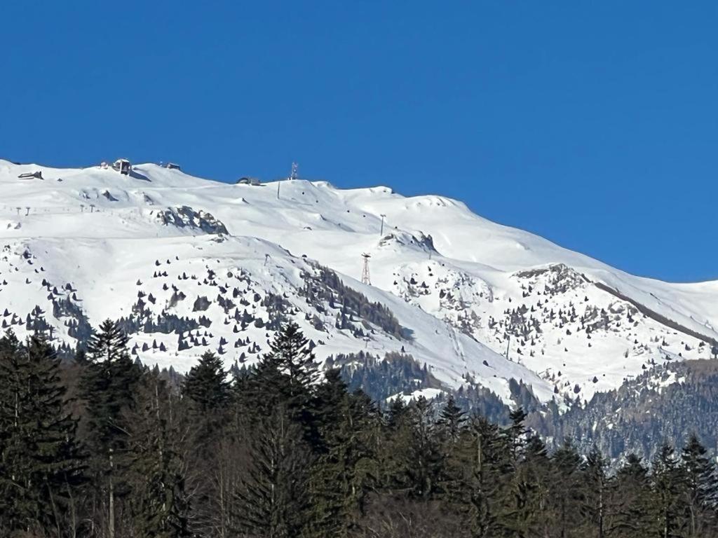 Coca Apart Mountain View シナヤ エクステリア 写真