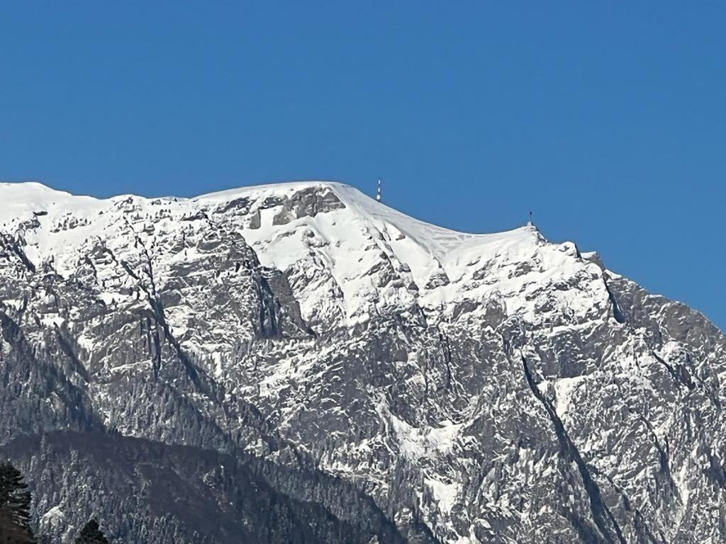 Coca Apart Mountain View シナヤ エクステリア 写真