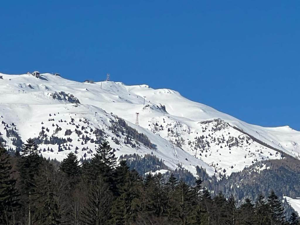 Coca Apart Mountain View シナヤ エクステリア 写真
