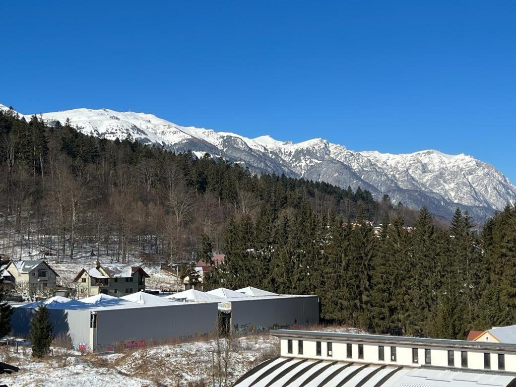 Coca Apart Mountain View シナヤ エクステリア 写真